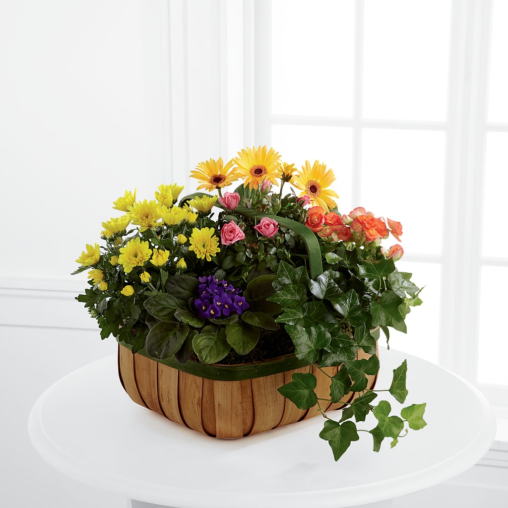 Gentle Blossoms Basket – Floristeria Fabiana, Charlotte NC