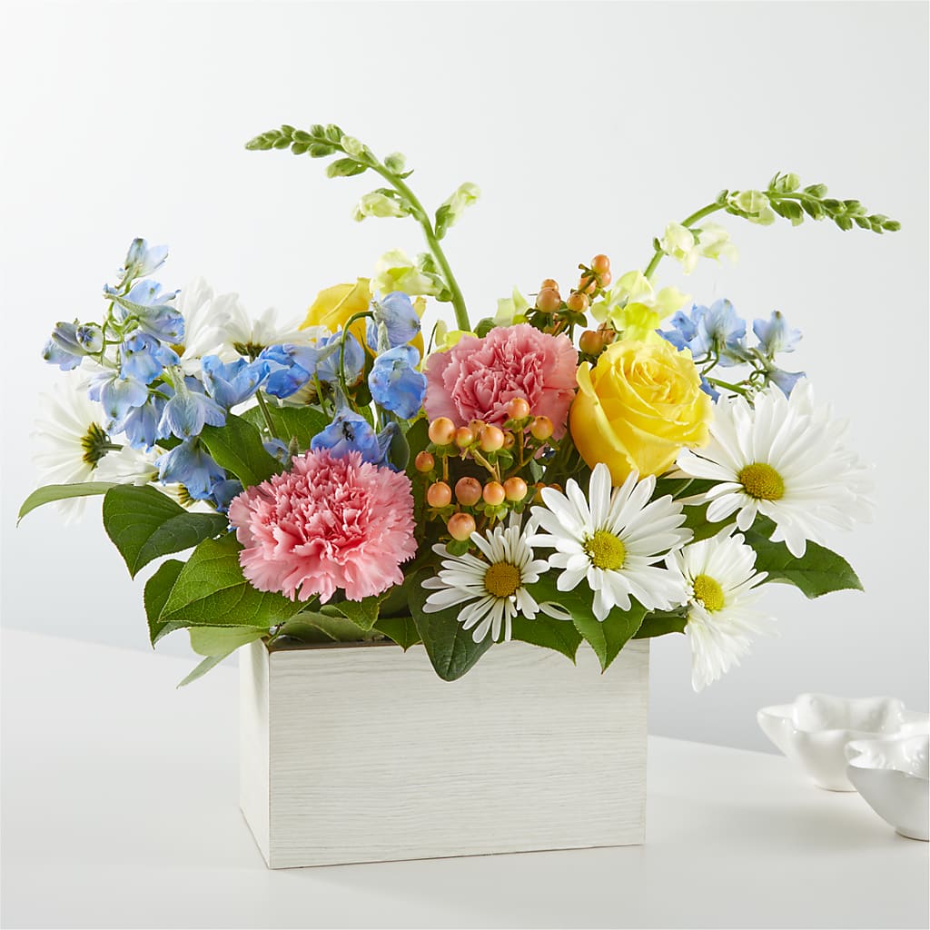 Sun Salutation Box Bouquet – Floristeria Fabiana, Charlotte NC
