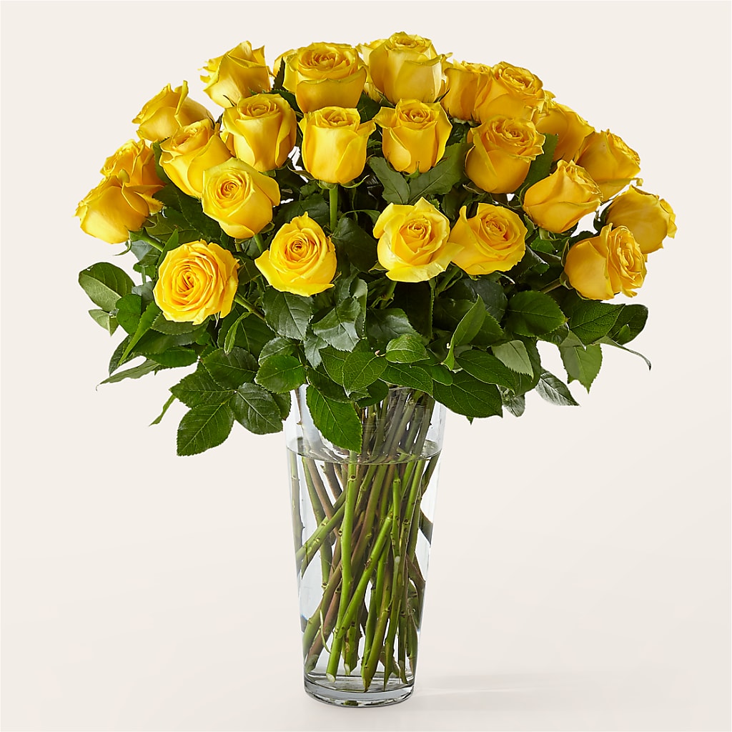 Long Stem Yellow Rose Bouquet – Floristeria Fabiana, Charlotte NC
