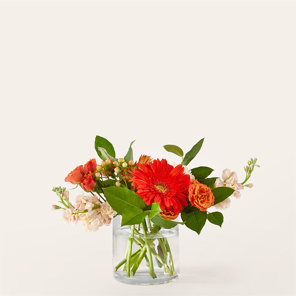 Paloma Please Bouquet – Floristeria Fabiana, Charlotte NC