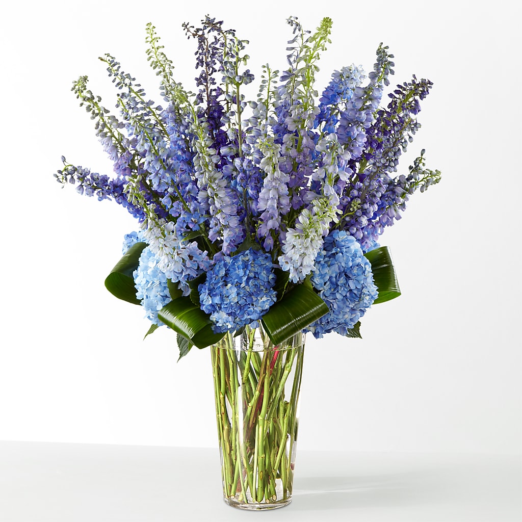 The Editorial – Floristeria Fabiana, Charlotte NC