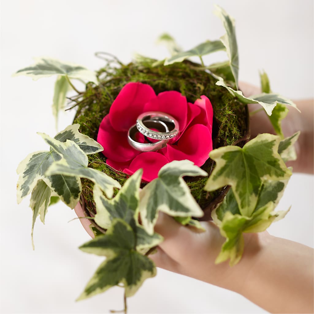Lila Rose Ring Nest – Floristeria Fabiana, Charlotte NC