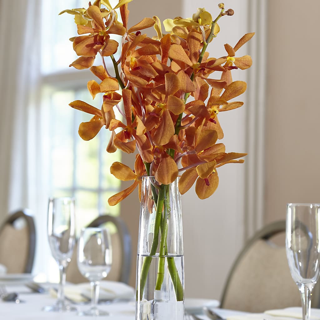Orange Mokara Bud Vase – Floristeria Fabiana, Charlotte NC
