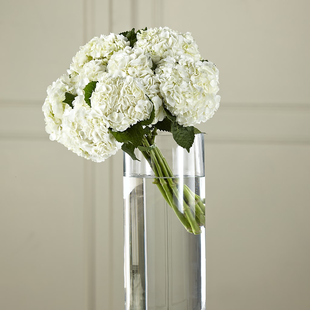 White Hydrangea Hand-Tied Bouquet – Floristeria Fabiana, Charlotte NC