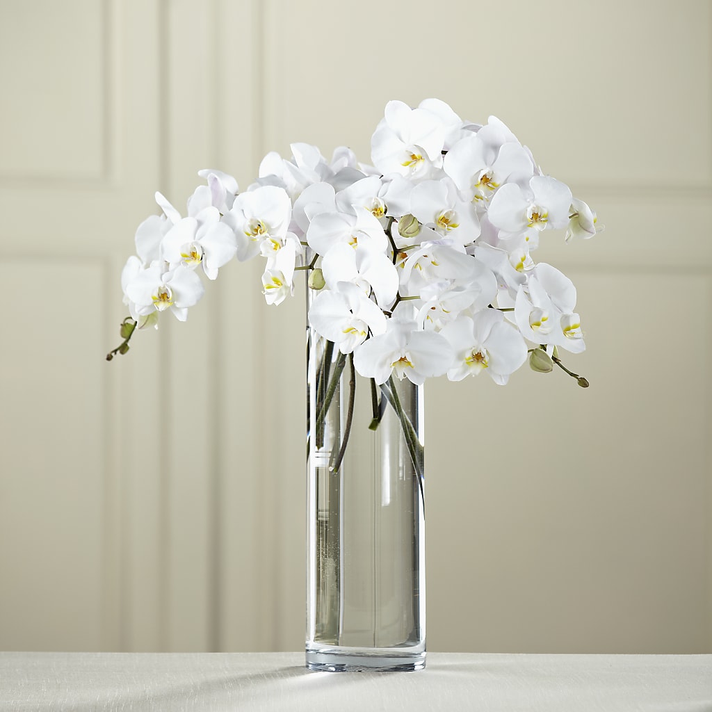 White Phalaenopsis Bouquet – Floristeria Fabiana, Charlotte NC