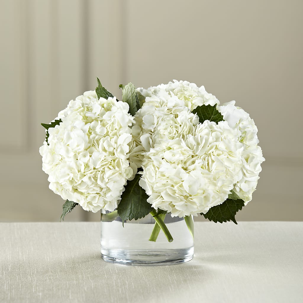 White Hydrangea Bouquet – Floristeria Fabiana, Charlotte NC