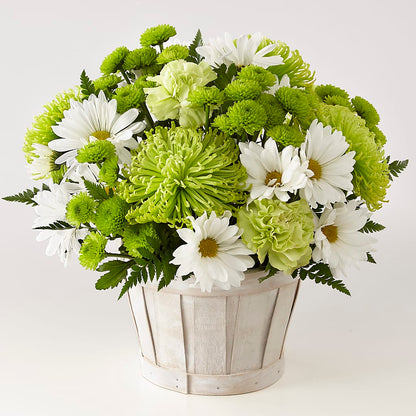 Lucky Charm Basket (Standard) –  Floristeria Fabiana, Charlotte NC