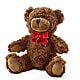 Adorable Plush Bear –  Floristeria Fabiana, Charlotte NC