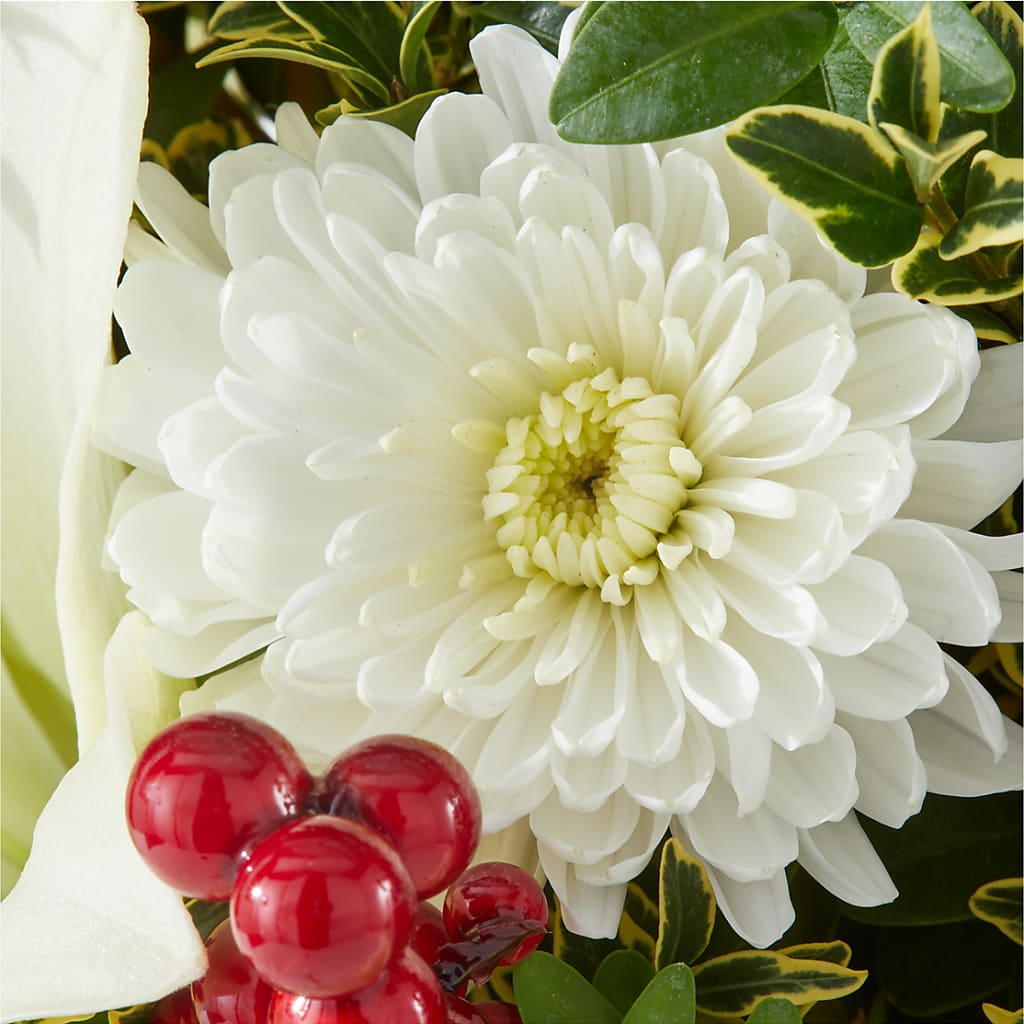 Festive Moments Tree –  Floristeria Fabiana, Charlotte NC