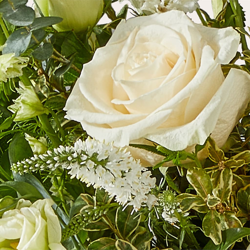 Cashmere Bouquet –  Floristeria Fabiana, Charlotte NC