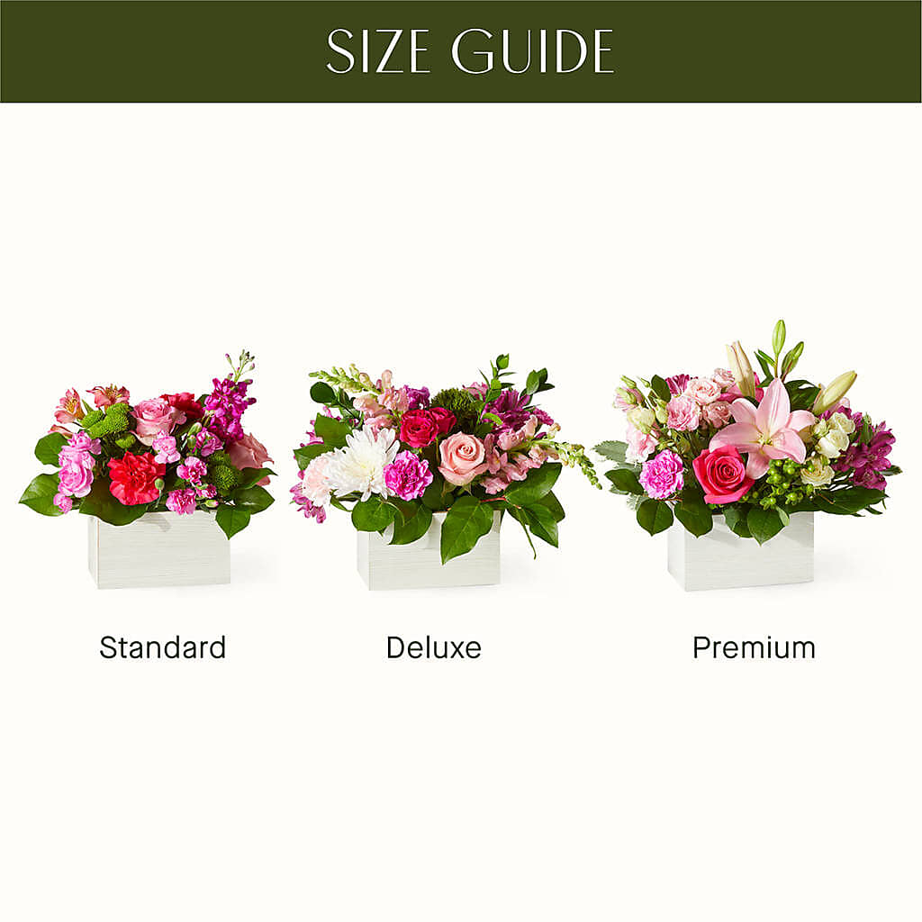 Sweetberry Box – A Florist Original –  Floristeria Fabiana, Charlotte NC