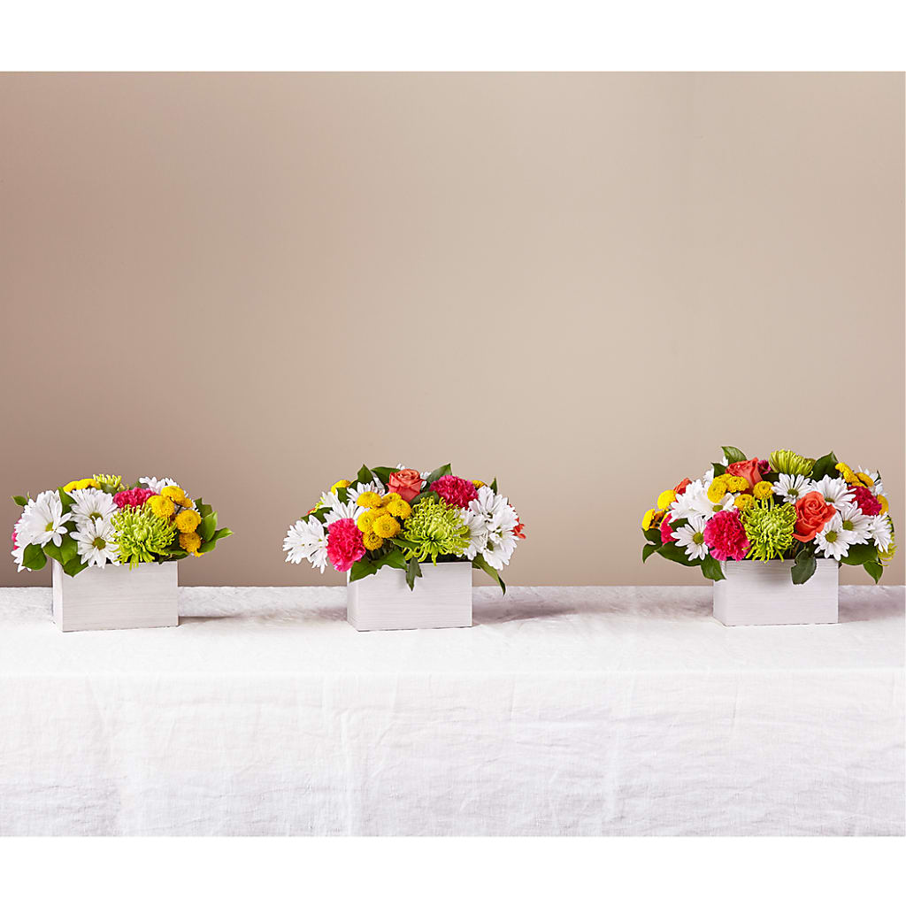 Sorbet Bouquet –  Floristeria Fabiana, Charlotte NC