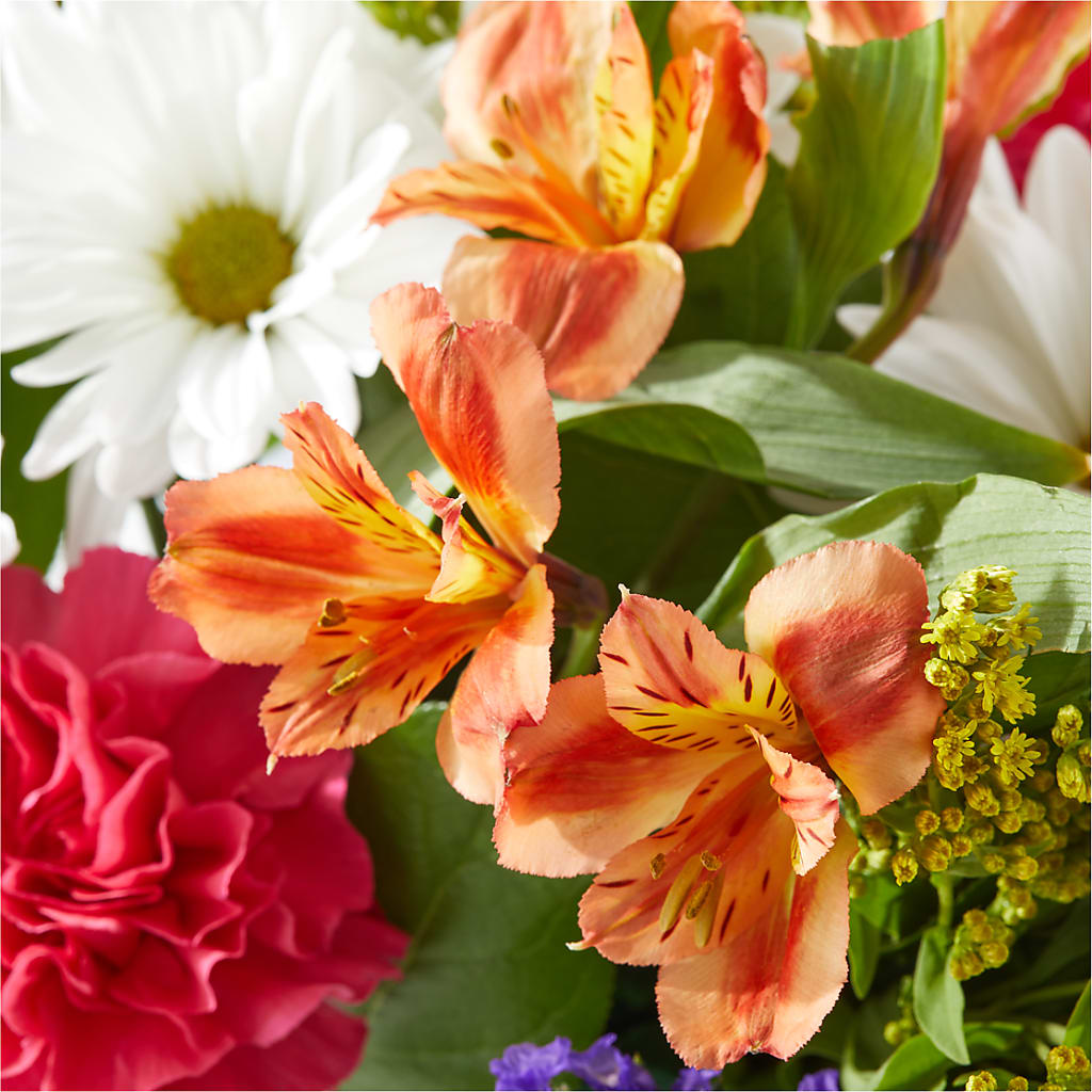 Oopsie Daisy Box Bouquet –  Floristeria Fabiana, Charlotte NC