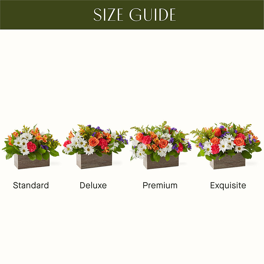 Oopsie Daisy Box Bouquet –  Floristeria Fabiana, Charlotte NC