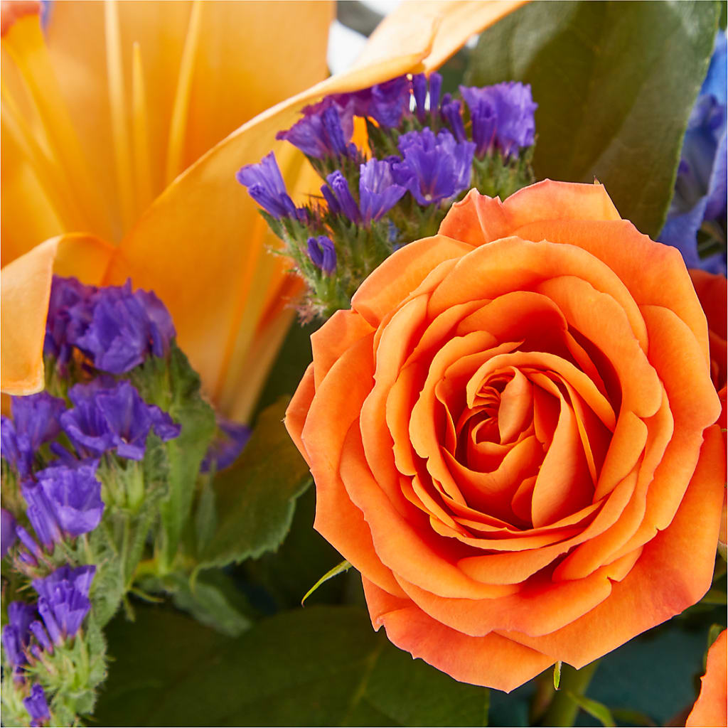 Radiant Citrus Box Bouquet –  Floristeria Fabiana, Charlotte NC