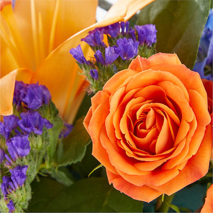 Radiant Citrus Box Bouquet –  Floristeria Fabiana, Charlotte NC