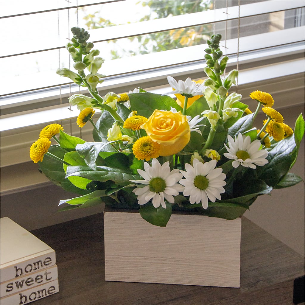 Sun Salutation Box Bouquet –  Floristeria Fabiana, Charlotte NC