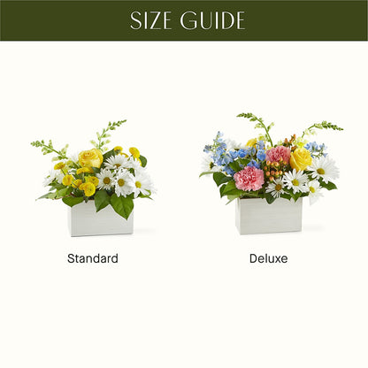 Sun Salutation Box Bouquet –  Floristeria Fabiana, Charlotte NC