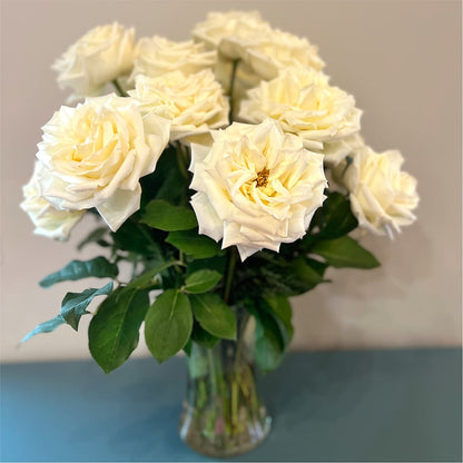 Long Stem Yellow Rose Bouquet –  Floristeria Fabiana, Charlotte NC