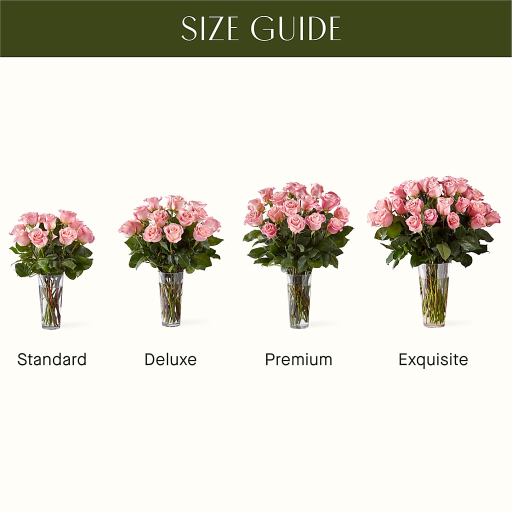 Long Stem Pink Rose Bouquet –  Floristeria Fabiana, Charlotte NC