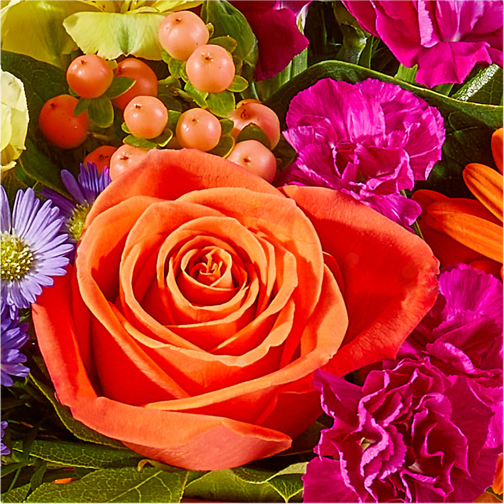 Tricks & Treats Pumpkin –  Floristeria Fabiana, Charlotte NC