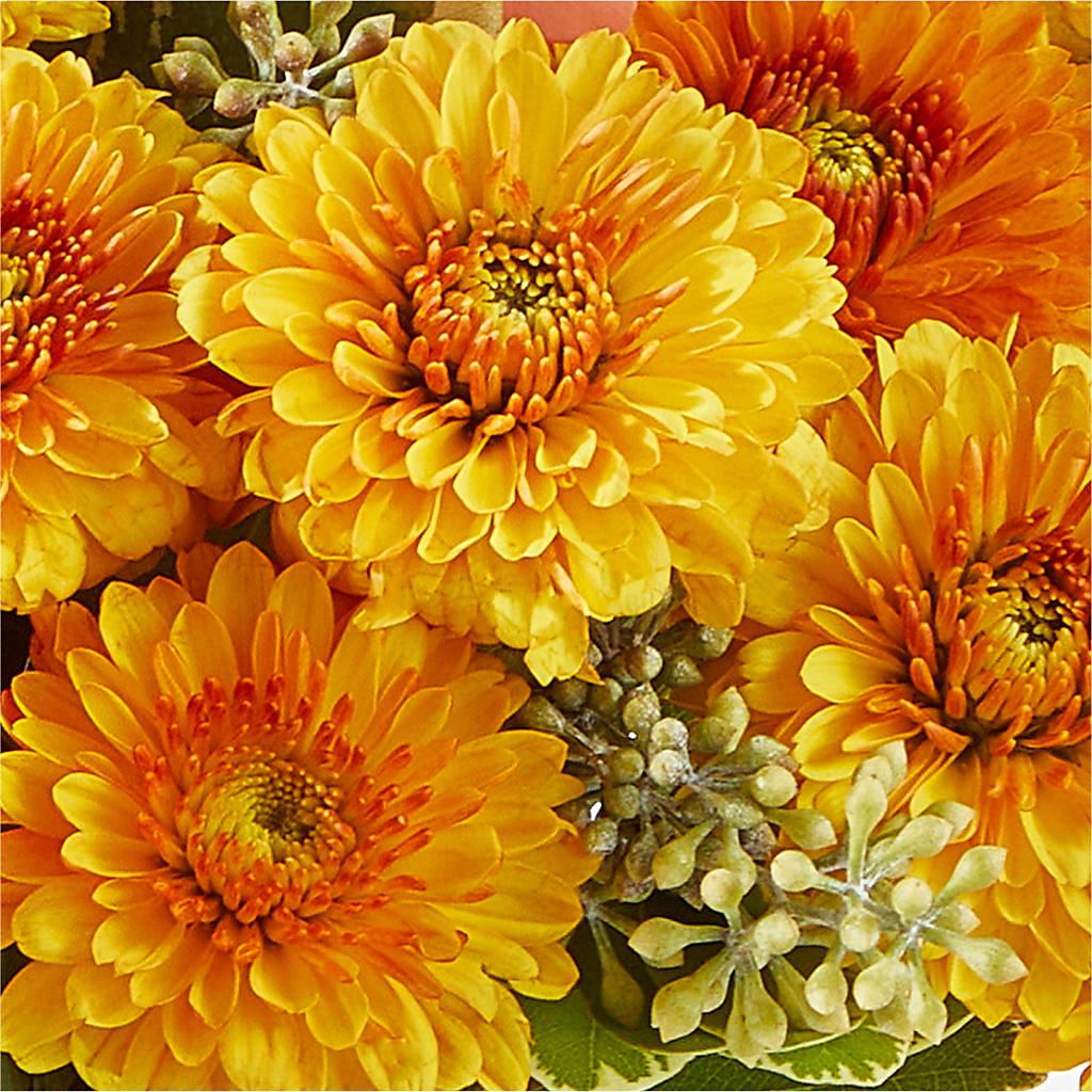 Peachy Pumpkin –  Floristeria Fabiana, Charlotte NC