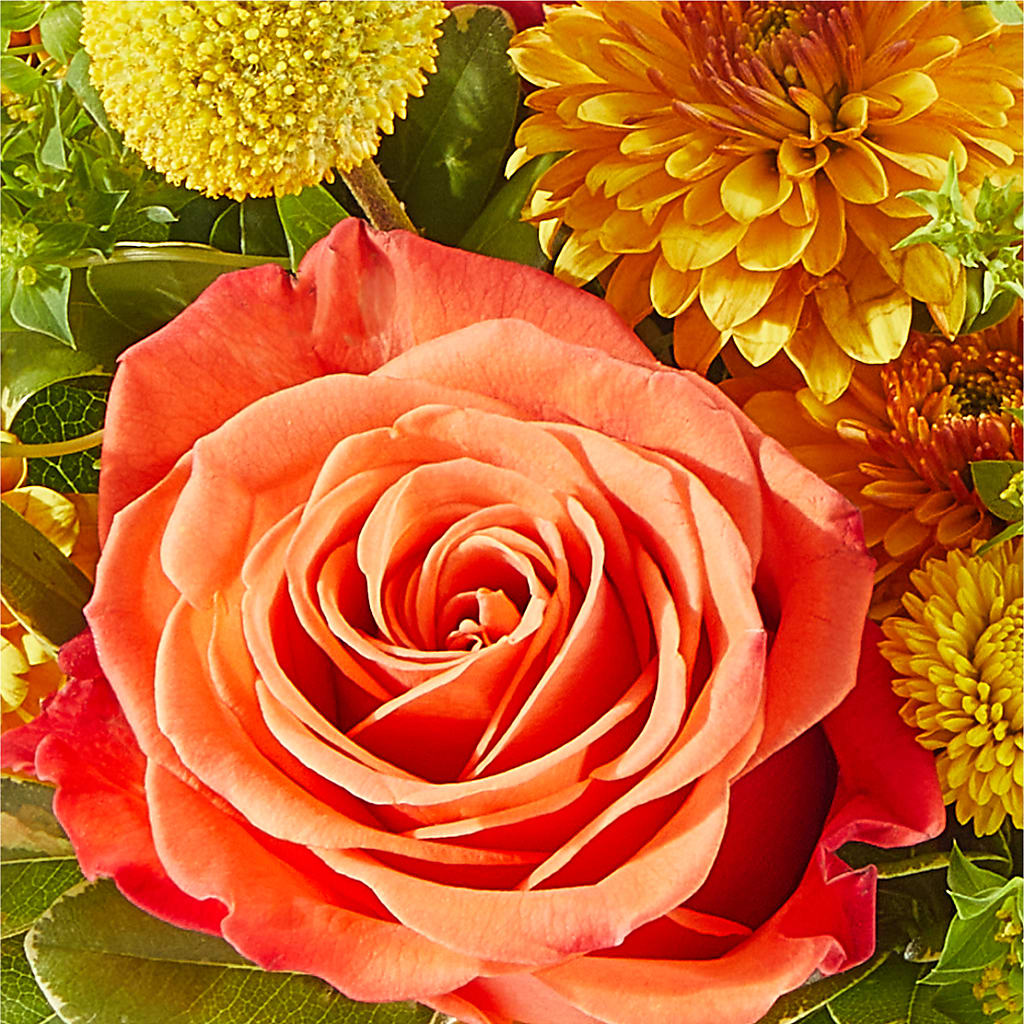Gourdgeous Pumpkin –  Floristeria Fabiana, Charlotte NC