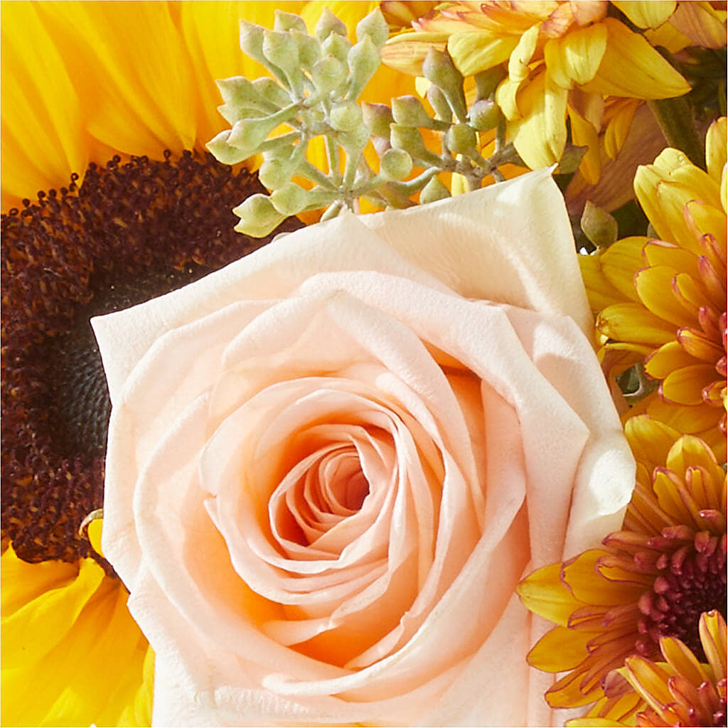 Pumpkin to Talk About Bouquet –  Floristeria Fabiana, Charlotte NC