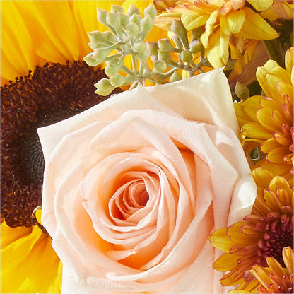 Pumpkin to Talk About Bouquet –  Floristeria Fabiana, Charlotte NC