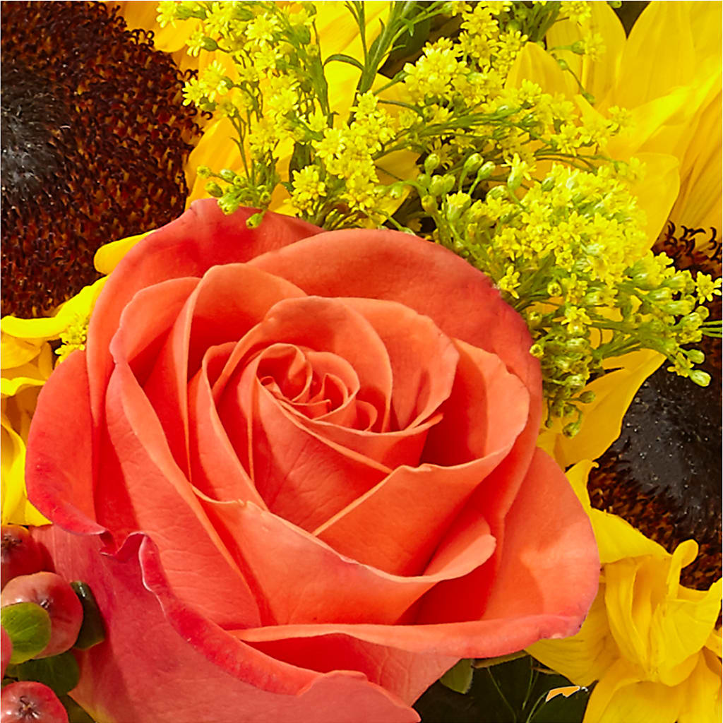 Pick of the Patch Pumpkin Bouquet –  Floristeria Fabiana, Charlotte NC