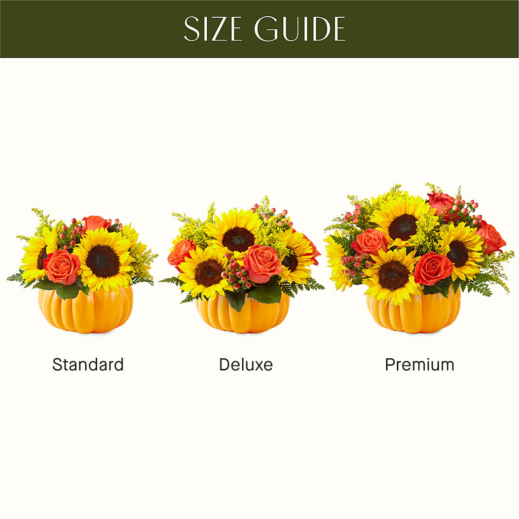 Pick of the Patch Pumpkin Bouquet –  Floristeria Fabiana, Charlotte NC