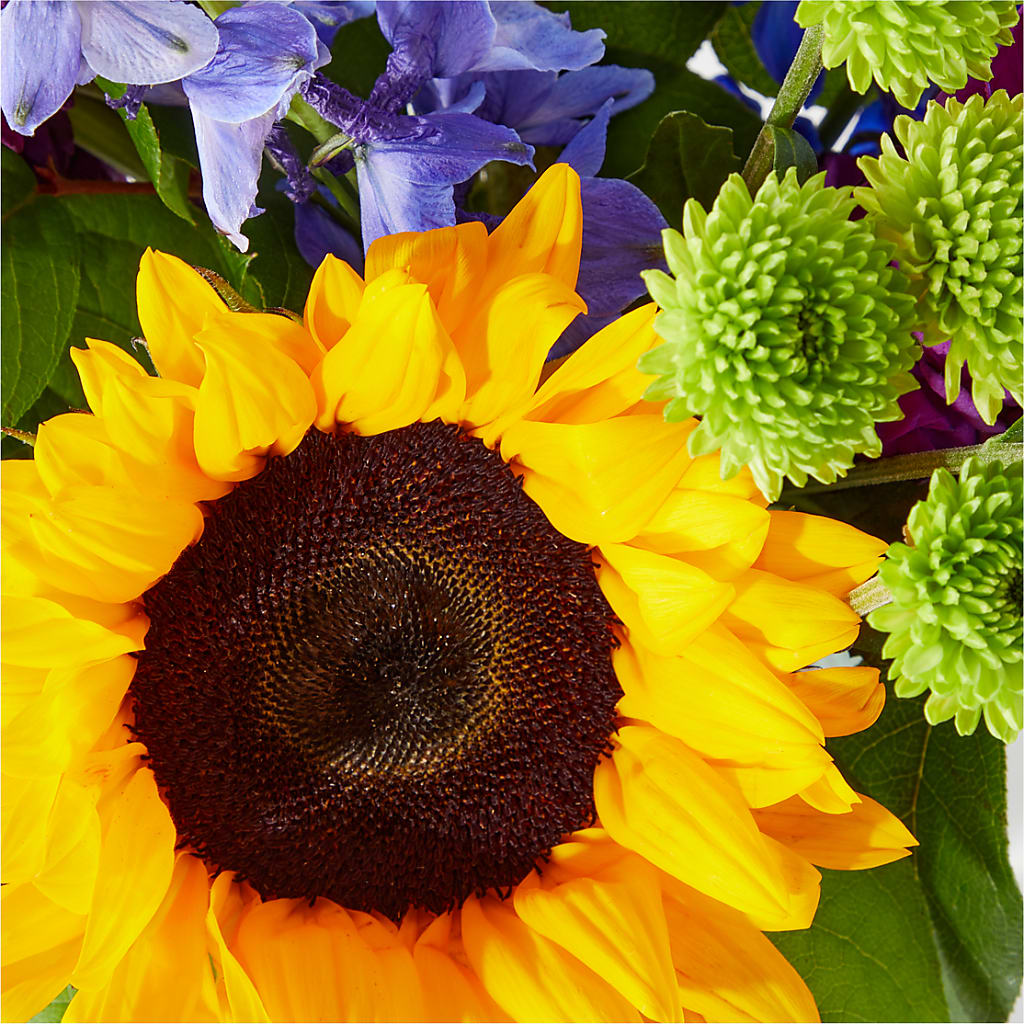 Catching Rays Bouquet –  Floristeria Fabiana, Charlotte NC