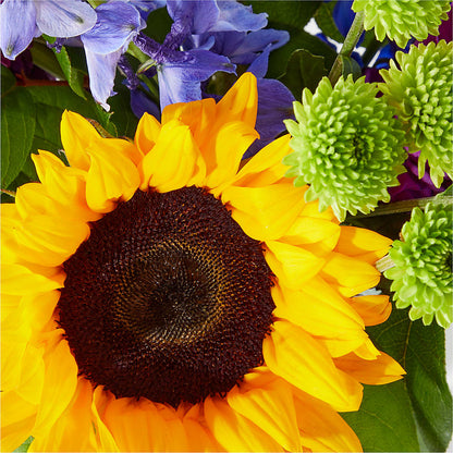 Catching Rays Bouquet –  Floristeria Fabiana, Charlotte NC
