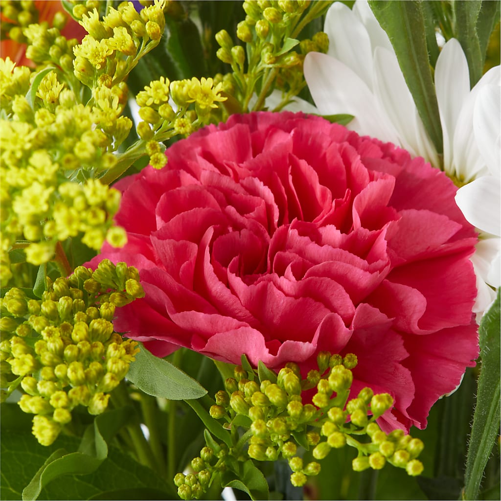 Oopsie Daisy Bouquet –  Floristeria Fabiana, Charlotte NC
