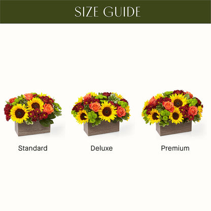 Happy Harvest Garden –  Floristeria Fabiana, Charlotte NC