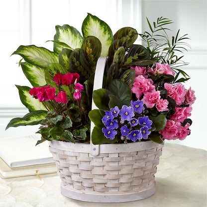 Peaceful Garden Planter –  Floristeria Fabiana, Charlotte NC