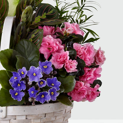 Peaceful Garden Planter –  Floristeria Fabiana, Charlotte NC