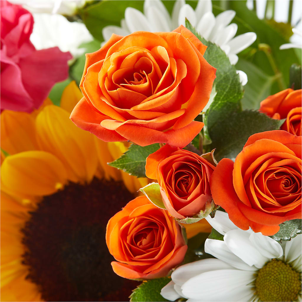 Sun-drenched Blooms Bouquet –  Floristeria Fabiana, Charlotte NC