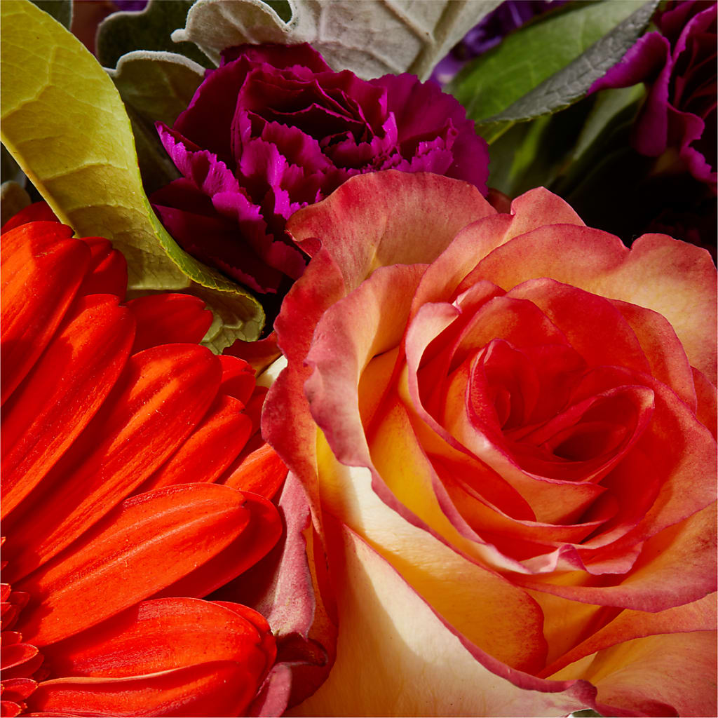 Sangria Bouquet –  Floristeria Fabiana, Charlotte NC
