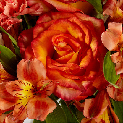 Apricot Glow Bouquet –  Floristeria Fabiana, Charlotte NC