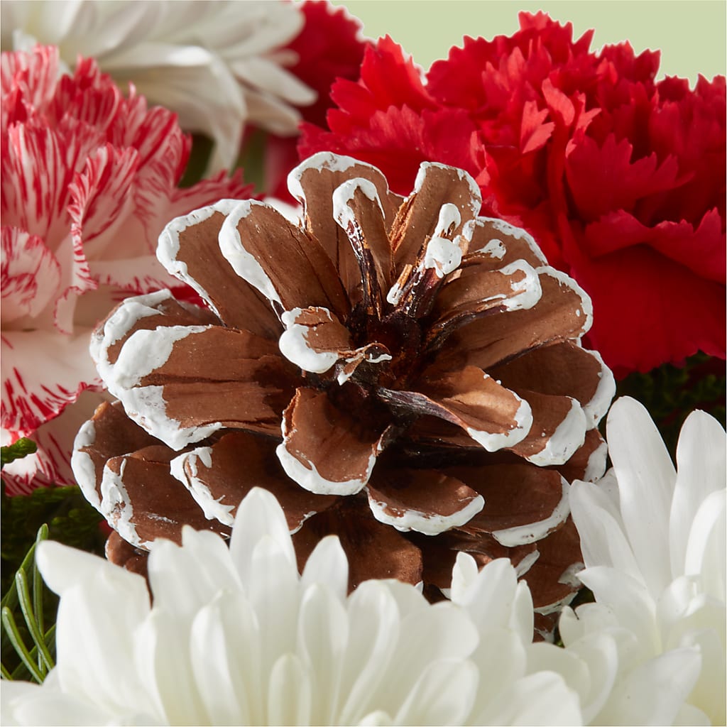 Candy Cane Lane Bouquet –  Floristeria Fabiana, Charlotte NC