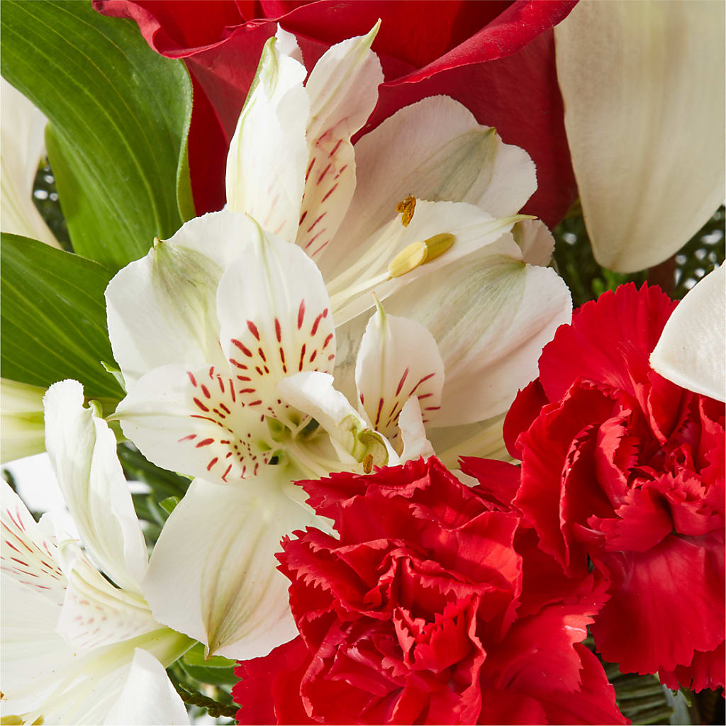 Holiday Season Bouquet –  Floristeria Fabiana, Charlotte NC