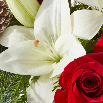 Oh So Jolly Bouquet –  Floristeria Fabiana, Charlotte NC