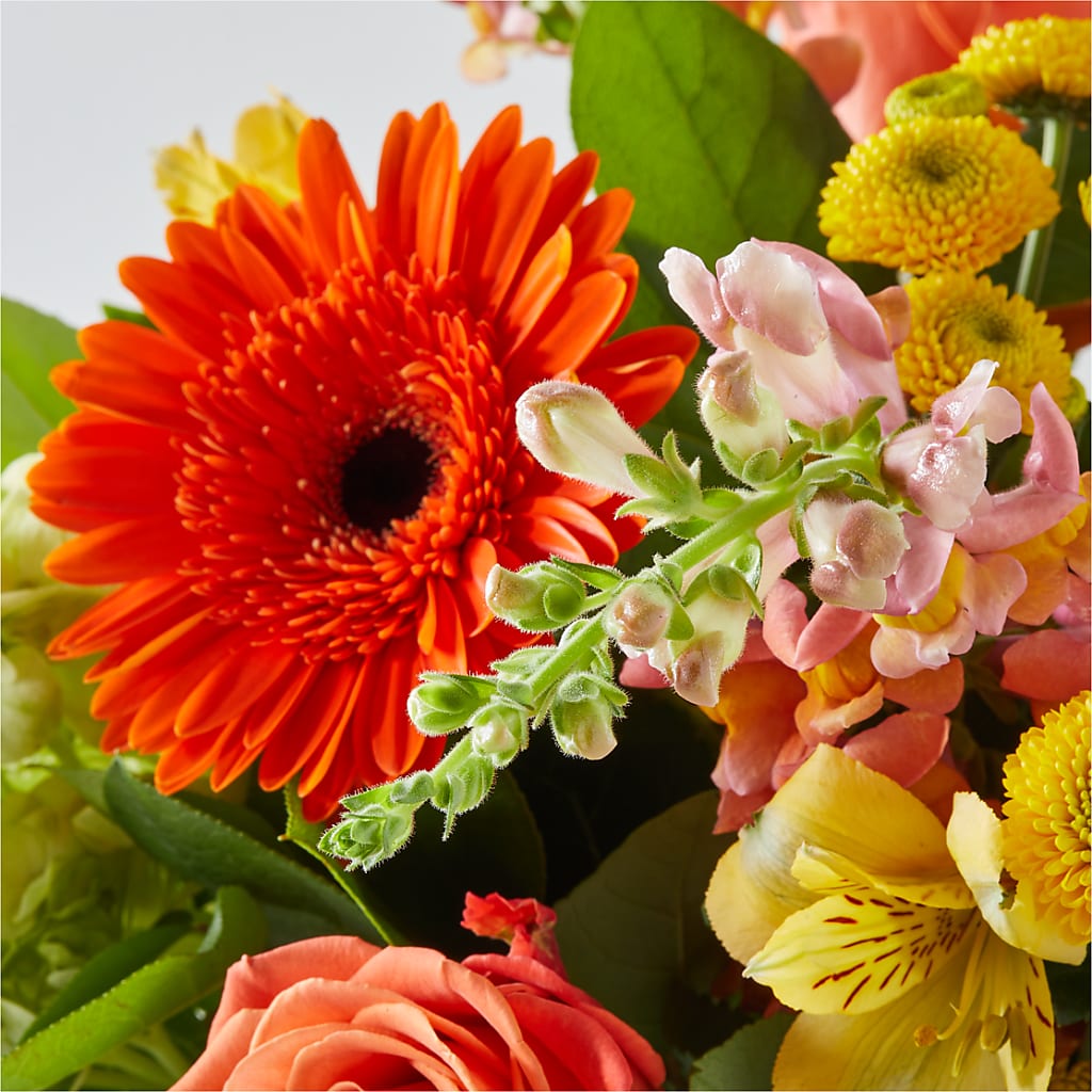 Autumn Sunshine Bouquet –  Floristeria Fabiana, Charlotte NC