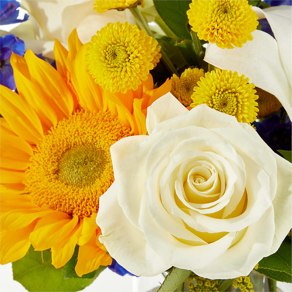 Stargazing Bouquet –  Floristeria Fabiana, Charlotte NC