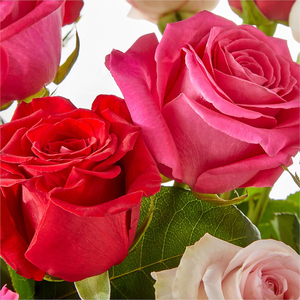 Charming Rose Bouquet –  Floristeria Fabiana, Charlotte NC