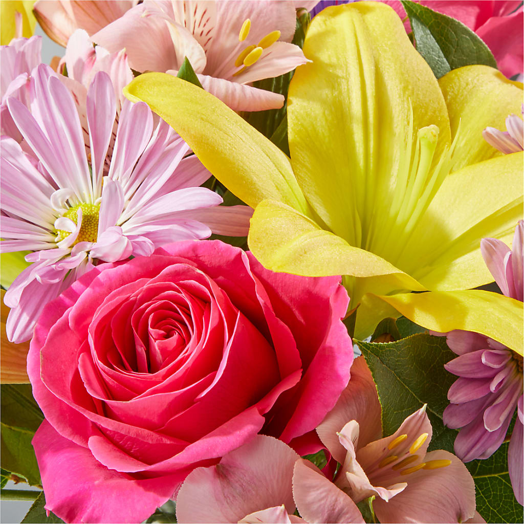 Sprinkles Bouquet –  Floristeria Fabiana, Charlotte NC