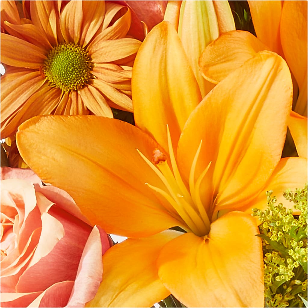 Harvest Hayride Bouquet –  Floristeria Fabiana, Charlotte NC