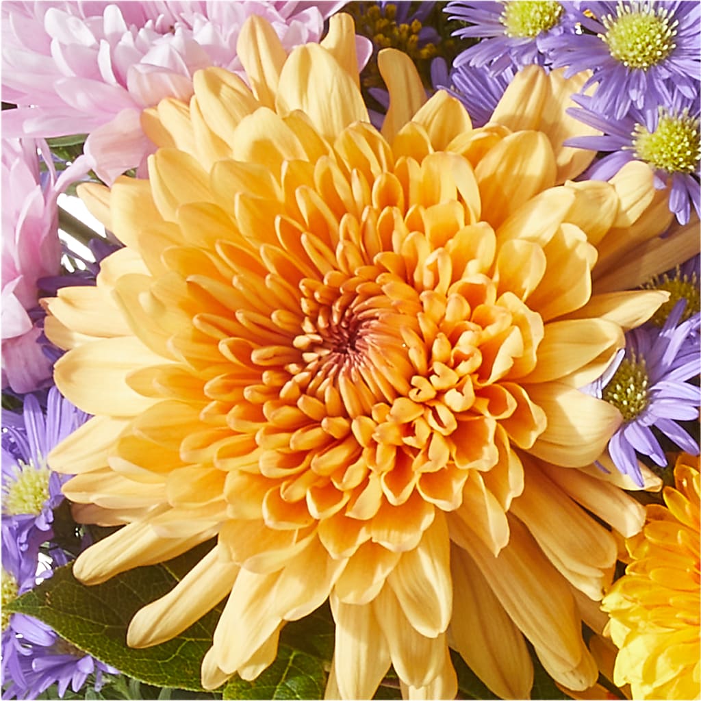 Countryside Bouquet –  Floristeria Fabiana, Charlotte NC