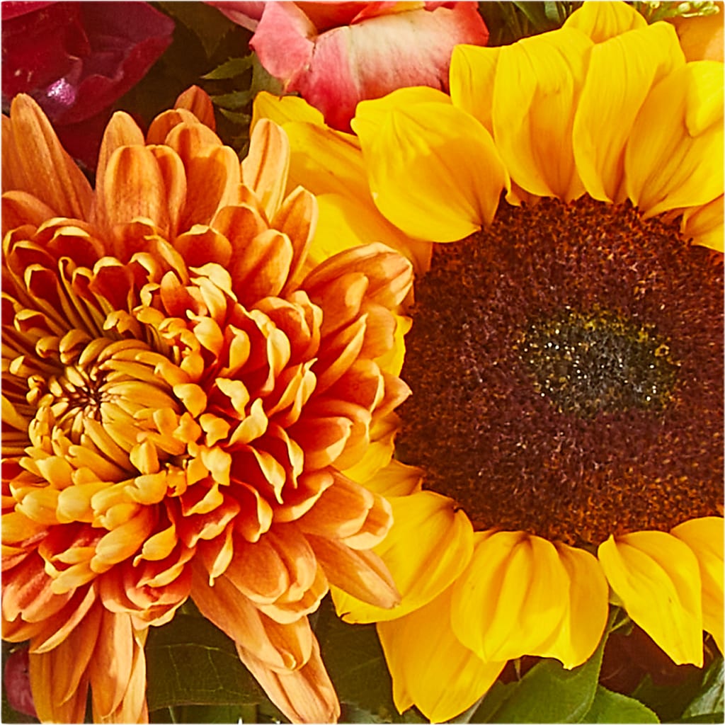 Seasons Change Bouquet –  Floristeria Fabiana, Charlotte NC